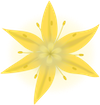 a yellow flower with six petals