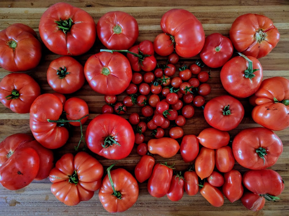 tomatoes_on_cutting_board
